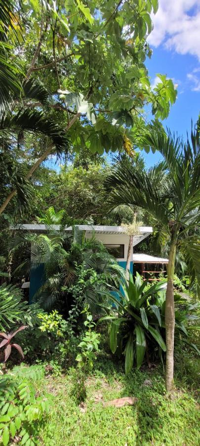 Villa Martina Palmgarden Samara Exterior photo
