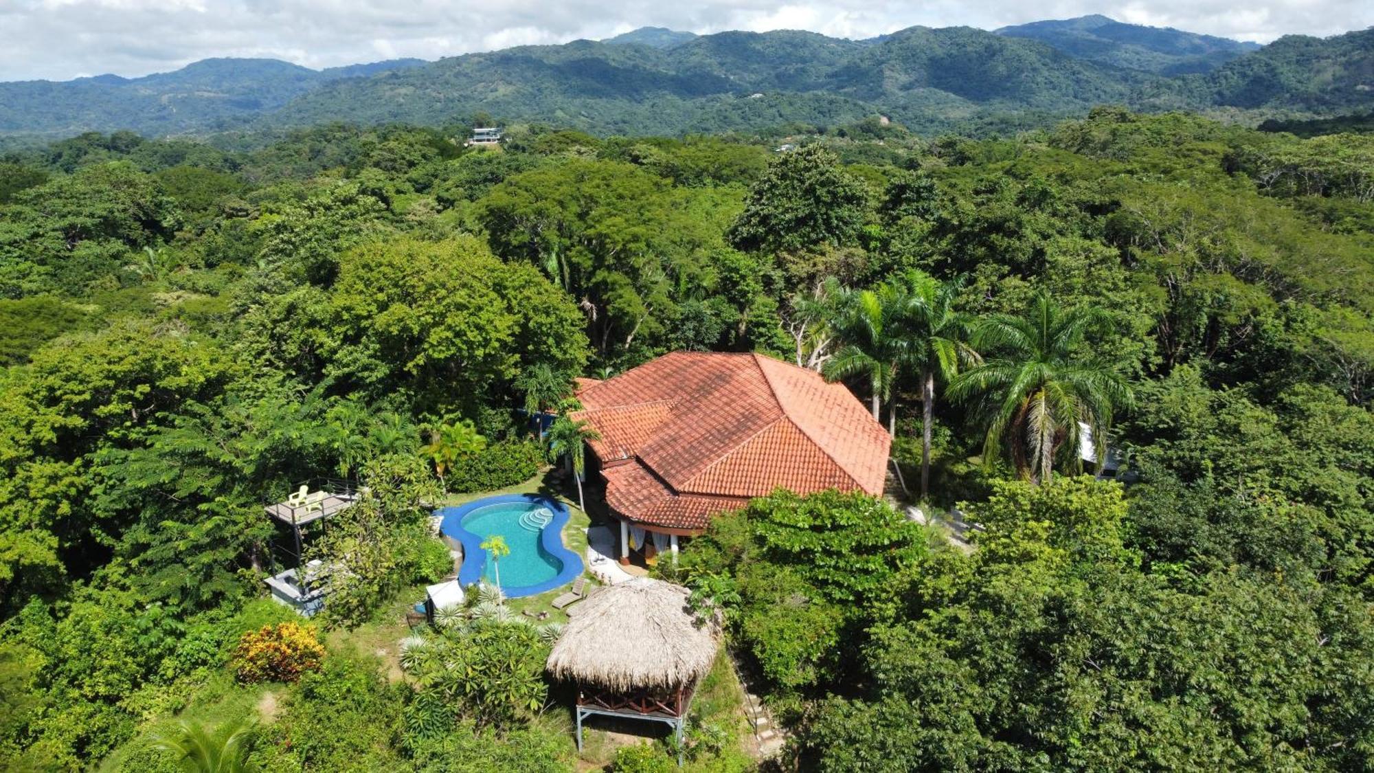 Villa Martina Palmgarden Samara Exterior photo