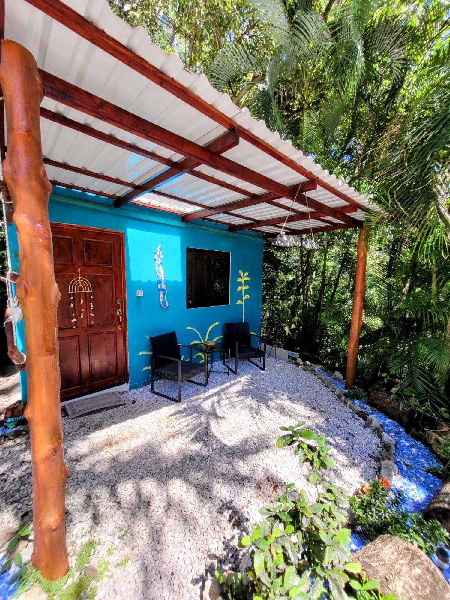 Villa Martina Palmgarden Samara Room photo